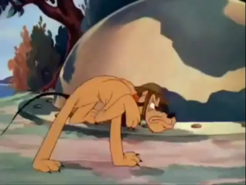 Chip and Dale - Private Pluto