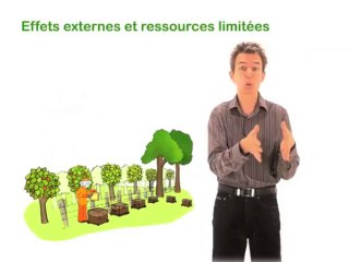 1.1 Effets externes et ressources limitées