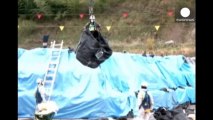 Japan postpones removal of Fukushima atomic fuel rods