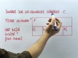 L'utilisation d'un arbre pondéré - Exemple 1