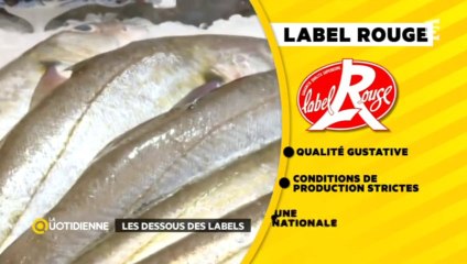 Top 4 des labels de contrôle qualité des poissons