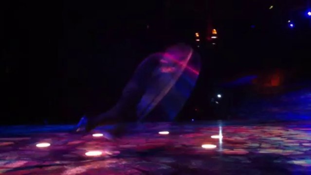 Le Cirque du Soleil revient au Zenith de Lille avec Alegria