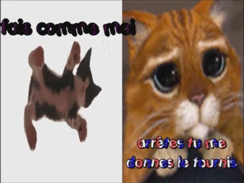 Chats alors 3(Musique Dis lui à la guitare)