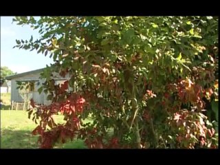 urbanisme durable bretagne 2009