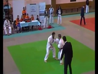 Michel Canivet 2013_1