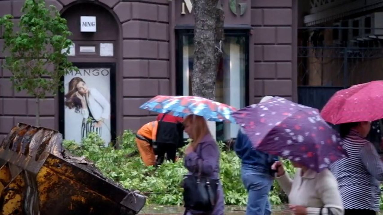 Femme Vs Tronc d'arbre
