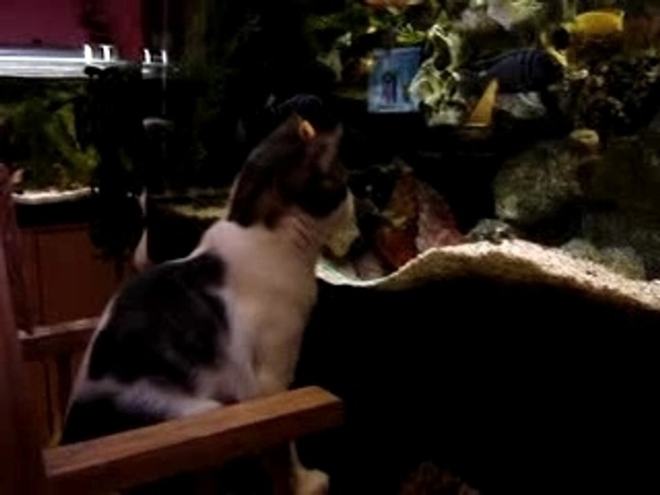 Photo 026