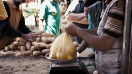 Gaza - Parkour, les Palestiniens volants