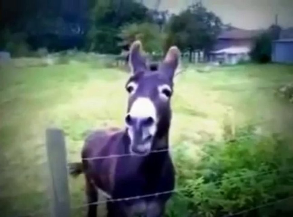 Special Anonymous Anti Illuminati song or Killuminati music and anti New World Order music