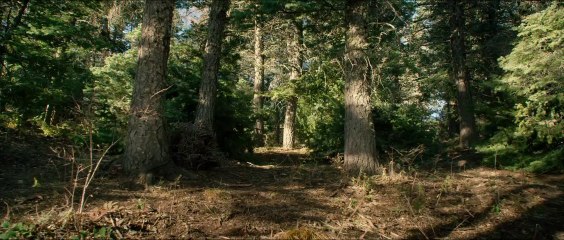 Lone Survivor Official Trailer 2 (HD) Mark Wahlberg, Eric Bana