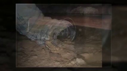 Orlando Home Inspector Reveals Basement Horrors