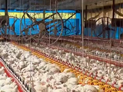 Globo Reporter - Cidades Mais Jovens Do Brasil - 15/11/2013 Parte.2 (480p)