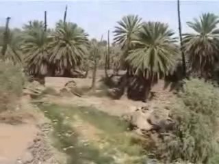 Moujuda Dor mian Bagh-e-Fiddak ki Halat 01