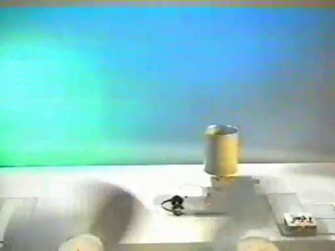 Модель судна Флетнера