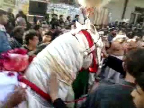 Zanjeer Zani At Imambargha Reza-e-Najaf 10th Muharram 1435