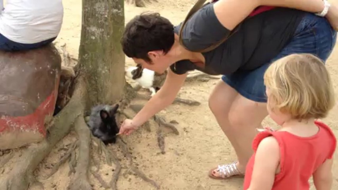 J'adore les animaux!