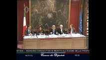 Roma - Audizione su risarcimento danno non patrimoniale (14.11.13)