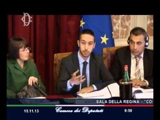 Roma - Assemblea dell'Unione per il Mediterraneo (15.11.13)