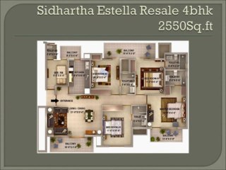 SIDHARTHA ESTELLA Available all sizes in resale 8800654747