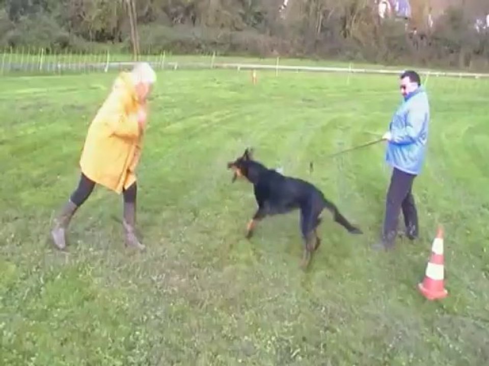 Test de caractére Meulan 3