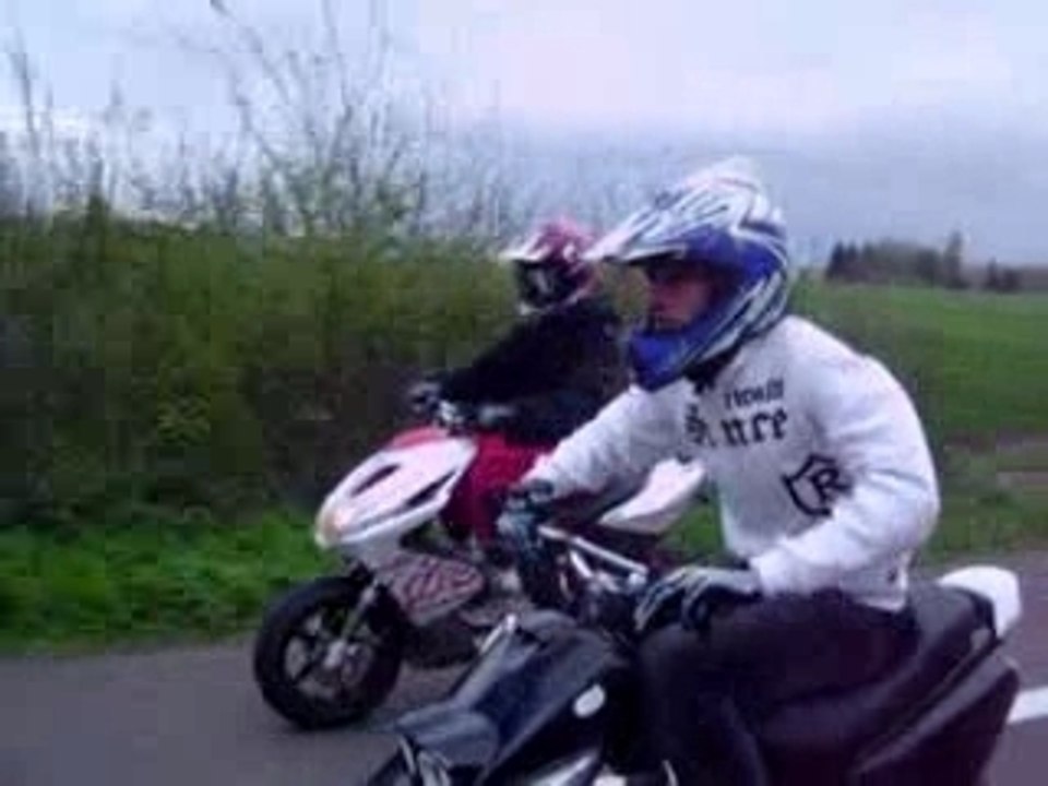 mafia stunt 71 spécial ludo