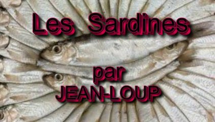 Les sardines par Jean Loup