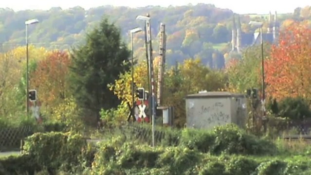 Züge bei Unkel und Rheinbrohl, NIAG 145, 2x 189, 155, DB 145, 101, 2x 143, 4x 425