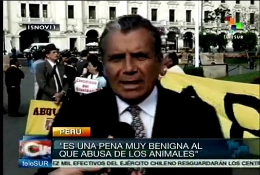 Ambientalistas buscan prohibir las corridas de toros en Perú