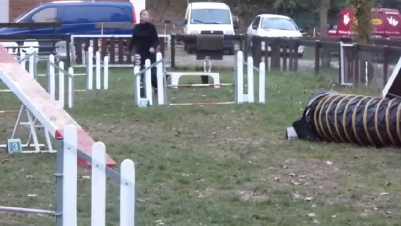 Amy et Océ Agility 1- 160913