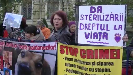 GUVERN, PROTEST IMPOTRIVA CRIMEI IN MASA!!, 16 noiembrie 2013 (7)