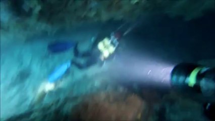 Stage plongée surface non libre CNPSP 11-2013