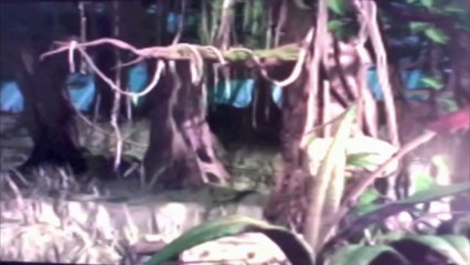 Heart of Darkness (PlayStation 1) - Part 2