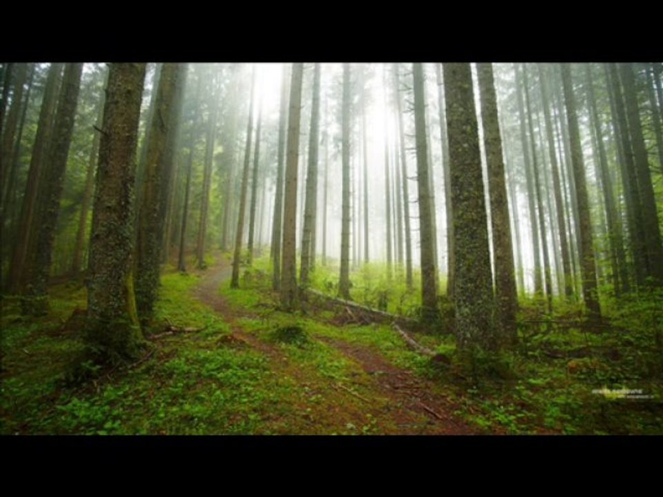 PARCELLES INTOUCHABLES ABLON SUR SEINE