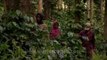 Women applying pesticides to coffee plants