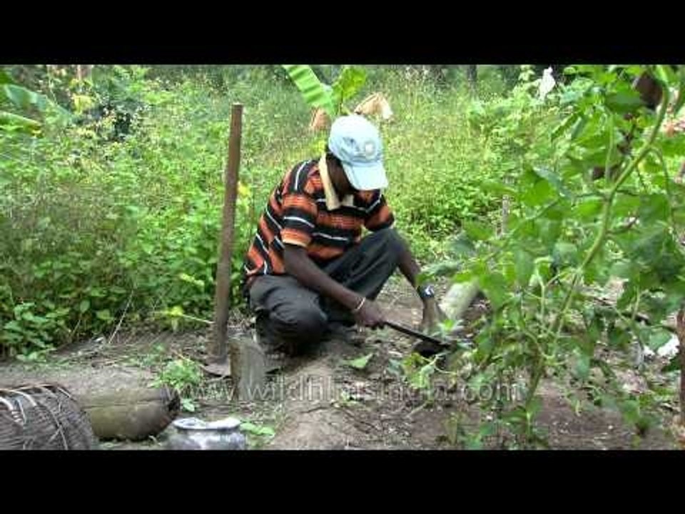 Tree house tribe: Building thatched huts on the ground