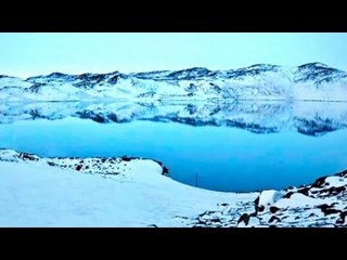 Antarctic lake microbes exchange DNA