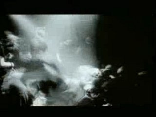 Napalm Death - Suffer The Children