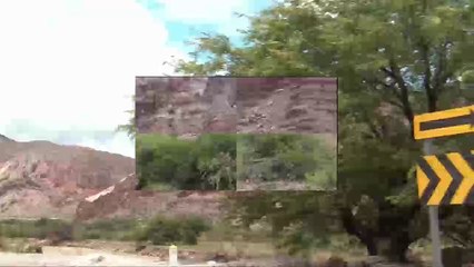 Viaje Enero 2013 Salta Cafayate