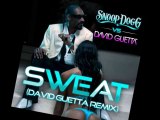 SNOOP DOGG vs DAVID GUETTA Sweat ( Remix by Sandy DUPUY ) 132 BPM