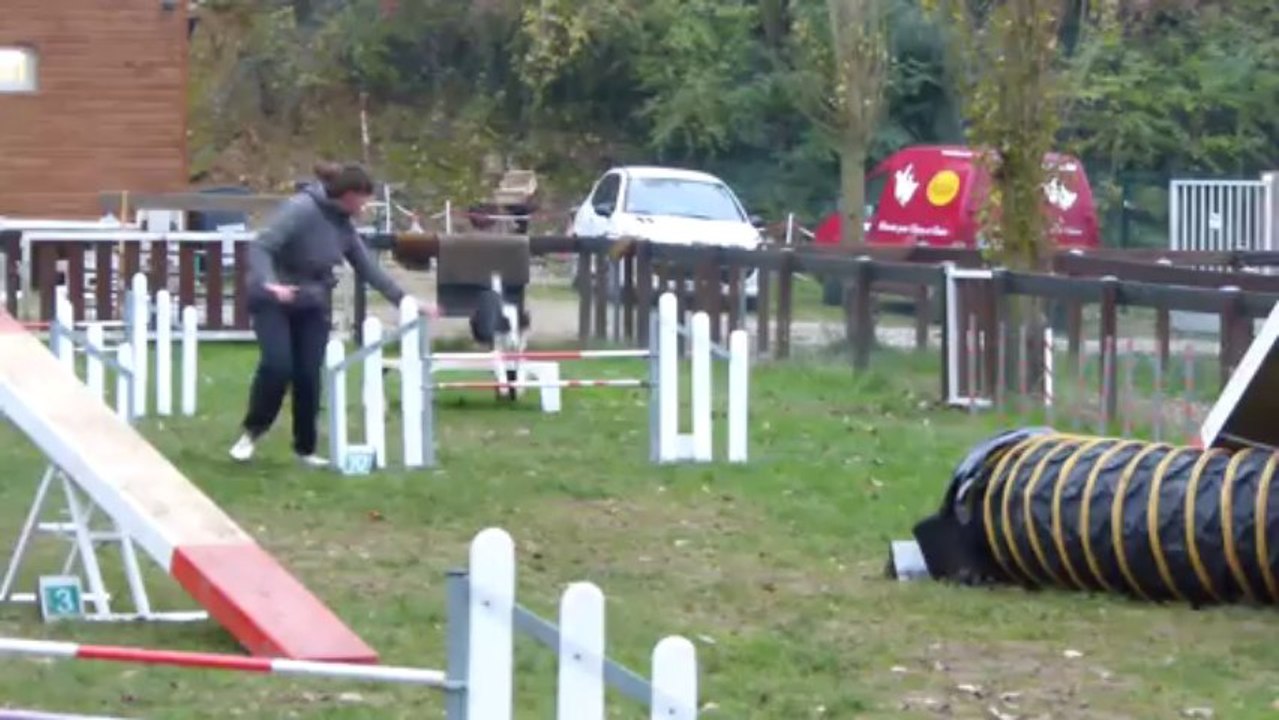 Clélia 2  Agility 161113