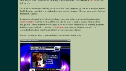 ALERT NEWS DANGER FOR ALL PETS Mystery New Interspecies Disease Hits Dog Kennels