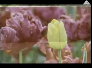 Mr Madras (1995) - Akka Maga