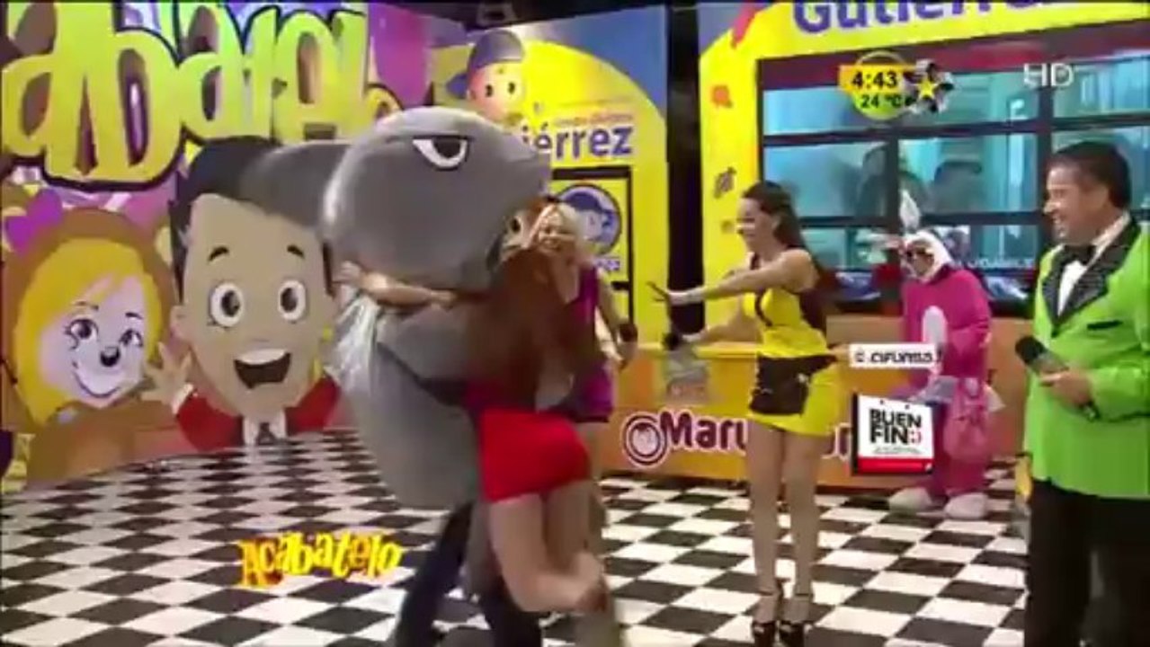 Regresa el Delfín