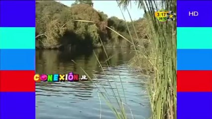 Conexión Jr (La Comarca Lagunera)