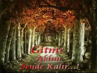 Niran Ünsal - Helal Et Hakkını  Zorlu Sevdam_