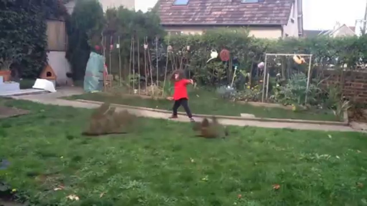 Chute de pierres