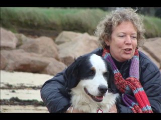 Sortie éducation canine Trégastel