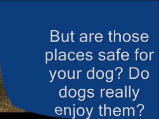 dog training las vegas