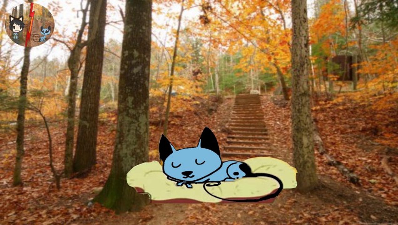 Errores de my little pony (parte 1) Los 20 primeros errores