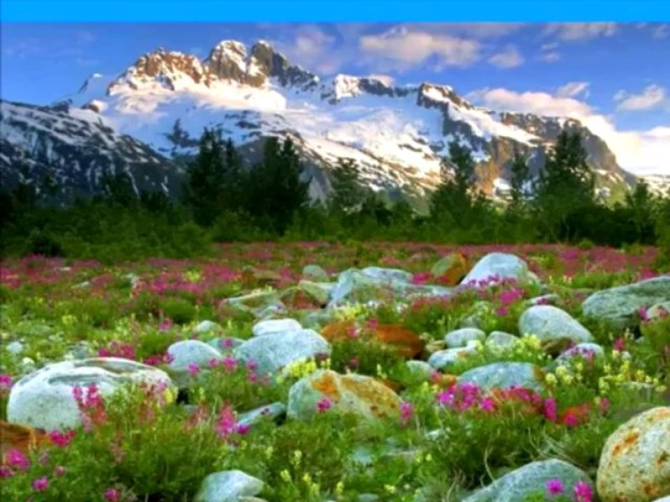 Blue Öyster , Sole survivor , Vengeance , Veteran of the psychic wars